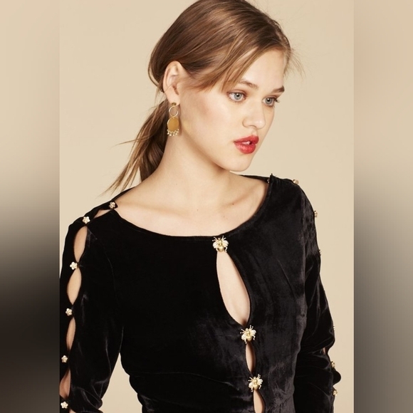 For Love and Lemons Beatrix Velvet Button Sleeve Dress - Picture 2 of 13